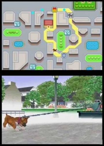 Immagine -5 del gioco Nintendogs: Labrador and Friends per Nintendo DS